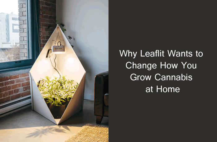 Why Leaflit Wants to Change How You Grow Cannabis At Home