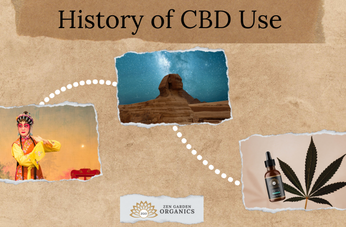 History of CBD Use